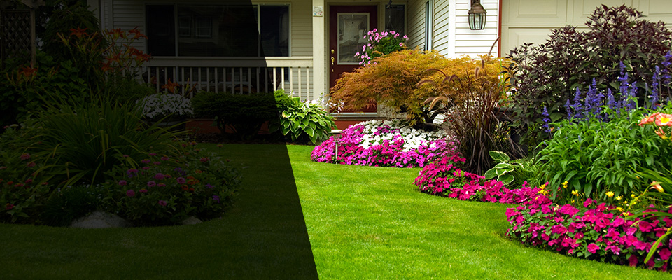 Fox River Grove Landscapers