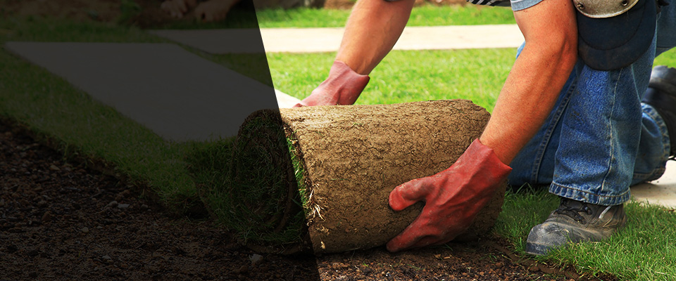 Fox River Grove Landscapers